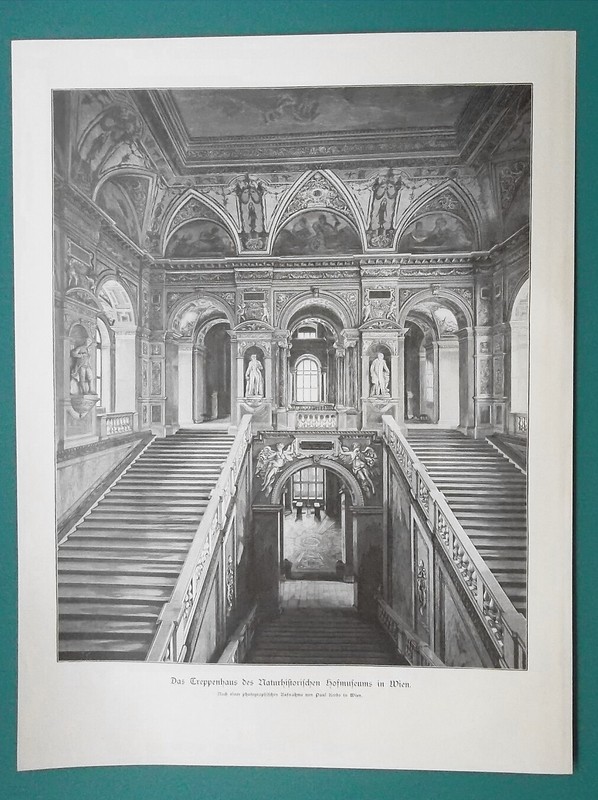 AUSTRIA Vienna Museum of Natural History Interior – 1892 Victorian Era Print