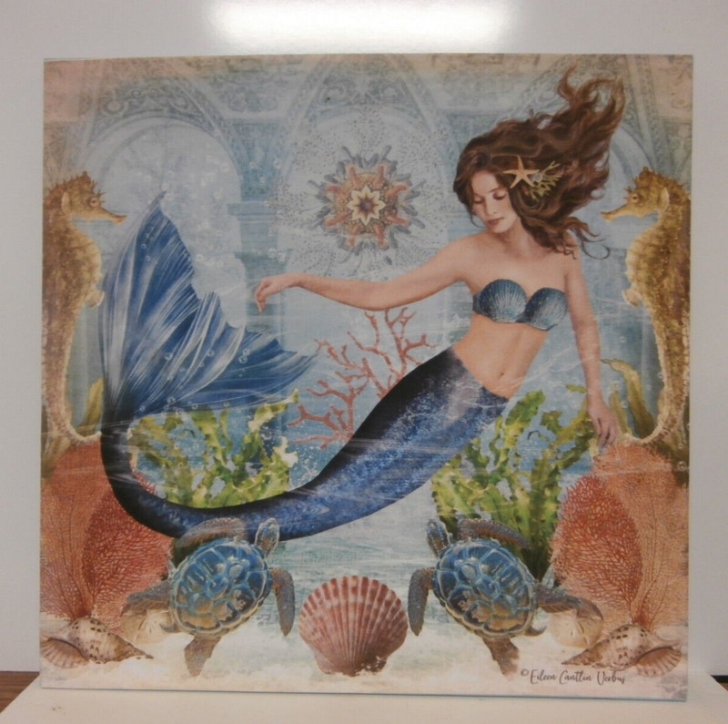 Mermaid Sea Life Nautical Turtles Beach Picture Art Wall Print Decor 18″ x 18″
