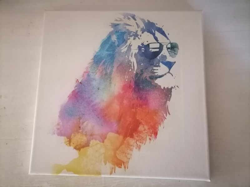 Canvas Print Sunny Leo by Robert Farkas, 30 x 30 x 1.5 cm