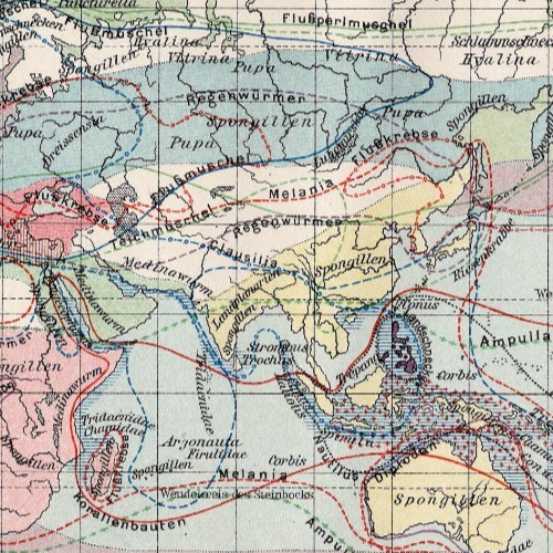 Global Distribution of Invertebrates Zoological German World Map Antique 1911