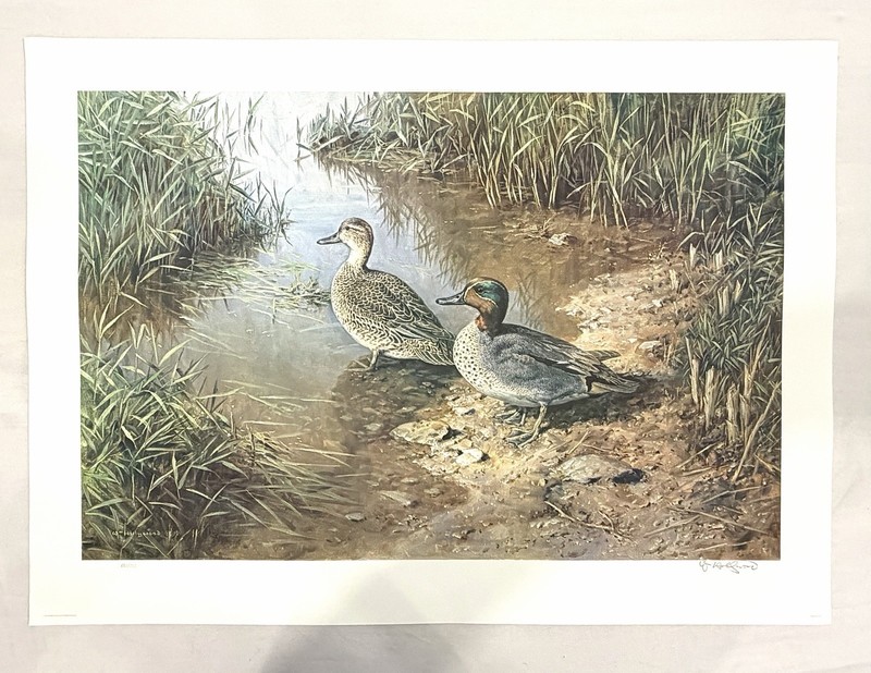 William Hollywood “Greenwing Teal” 1980 Signed Print 31.5” x 23”