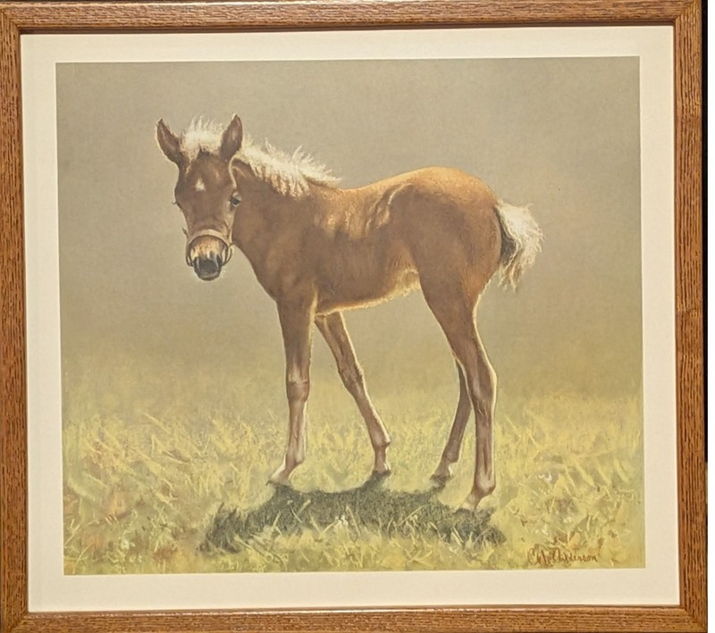 Vintage Framed Print “Bottle Baby” CW Anderson Portfolio Accent on Youth – 1958