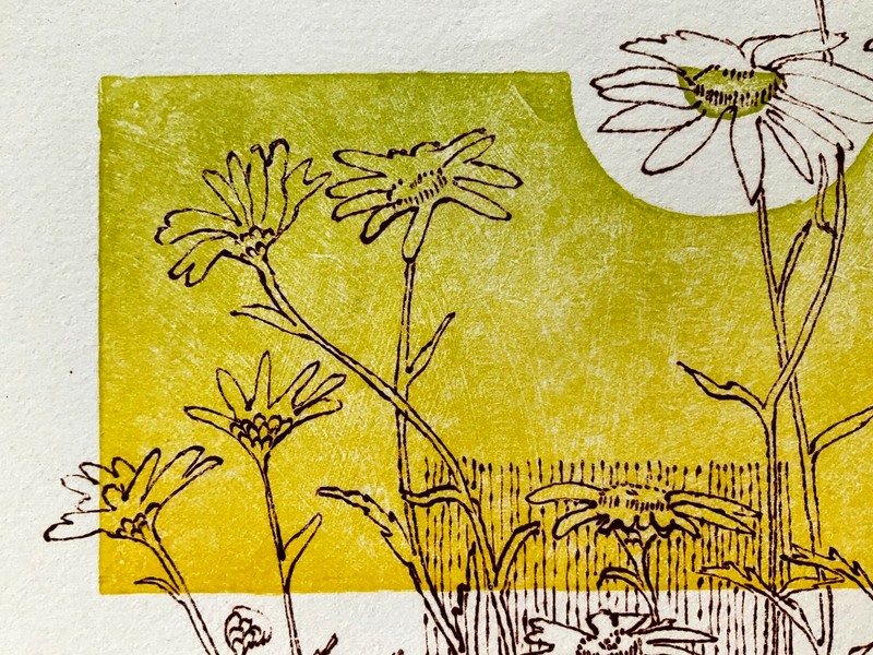 PEARCE BATES DAISIES TWO COLOR WOODCUT PRINT SIGNED NUMBERED NEAR MINT gallery