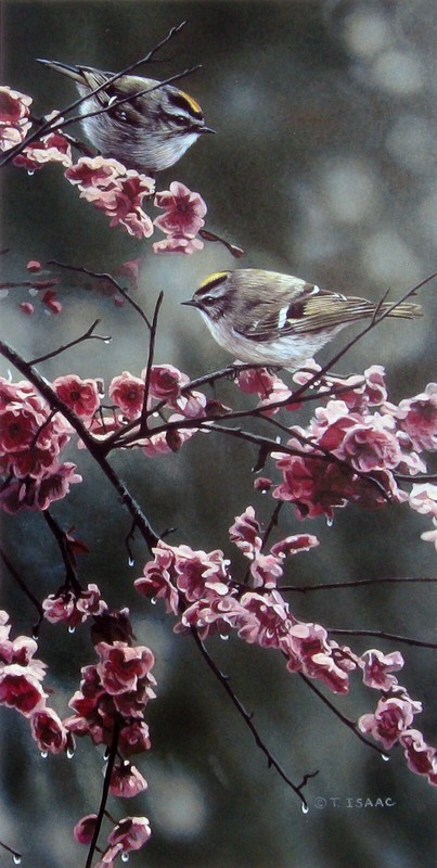 Terry Issac, «Blossom Dance», poster, 12″h x 6″w image, 15″h x 8″h overall