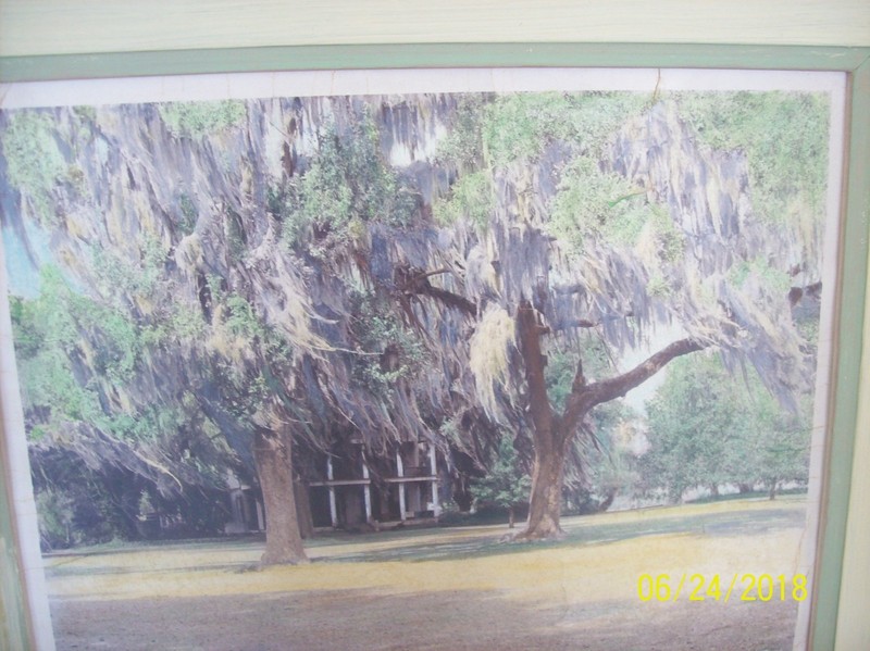 Plantation House Vintage Framed Print's Set Of 2 With the House & Moss Hanging gallery