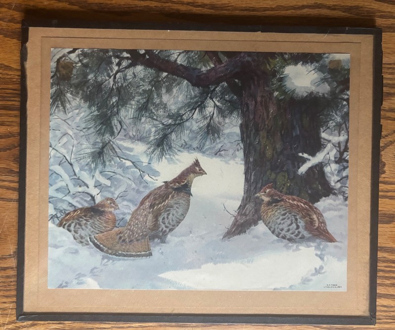 Vintage Ruffed Grouse Litho Print G.P. 7466 Matted Winter Snow Scene Wildlife