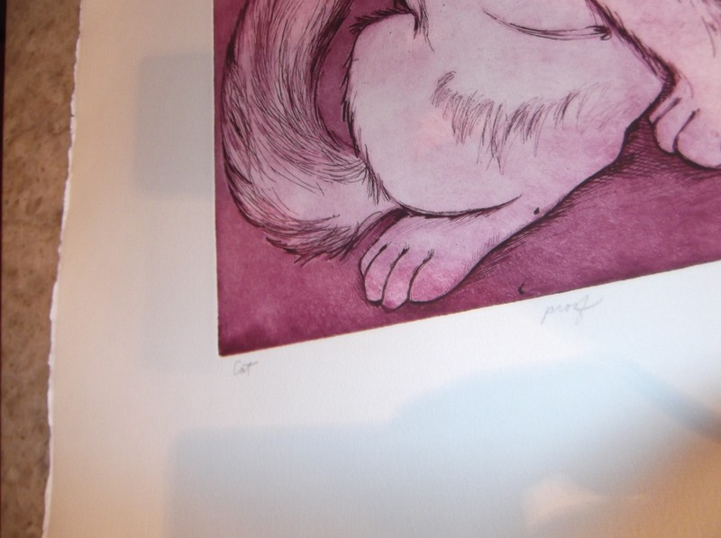 Vintage Cat Intaglio Etching Artist Proof Laramie Wyoming Artist E. Kidder gallery