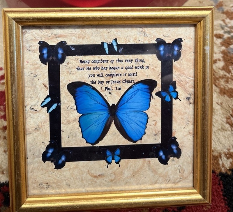 7×7 Gold Toned Framed Butterfly Wall Art Phil 1:6 Scripture Framed Christian