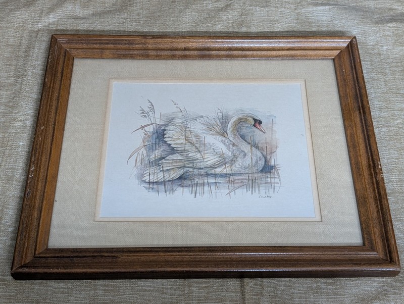 Mute Swan By Mads Stage Vintage Framed Print Artwork Wall Decor 16″x13″