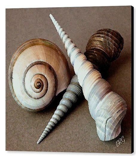 Seashells Spectacular No 24, by Ben & Raisa Gertsberg, 36"x36", Print on Canvas