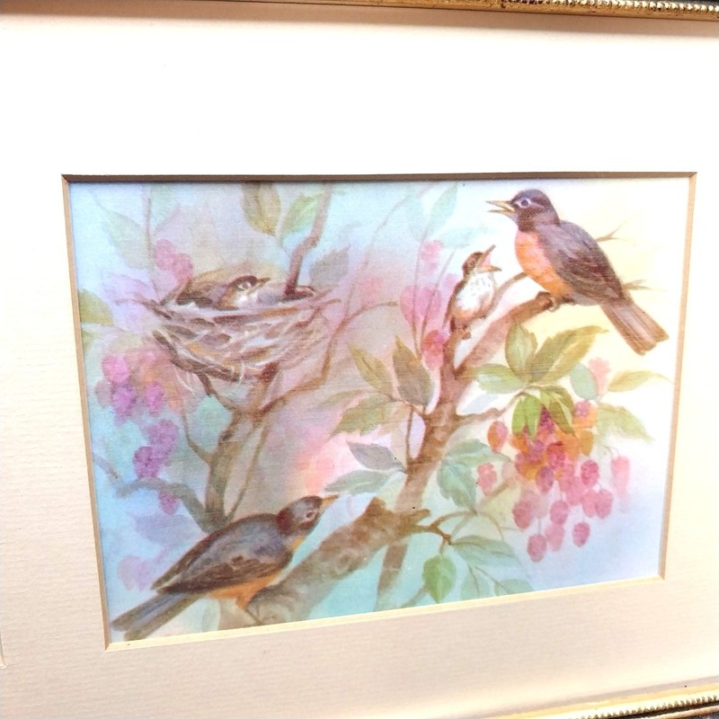 Vintage Goldfinch & Robin Art Prints Painted Gold Wood Frame Cottage Core Pastel gallery