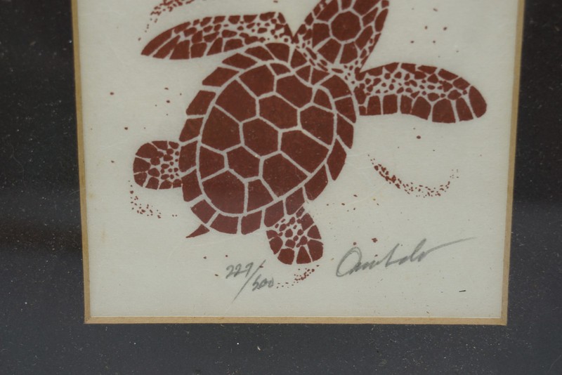 Signed Sea Turtle Art Print Limited Edition 227/500 Framed Marine Life gallery