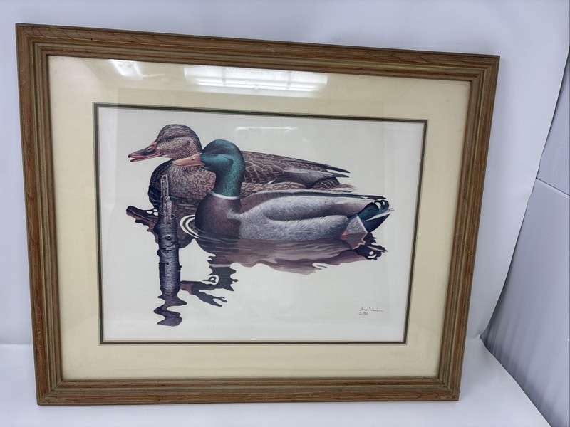 Brian Wheeler 1981 Mallard Duck Framed Art Print 22x18 Wildlife Waterfowl gallery