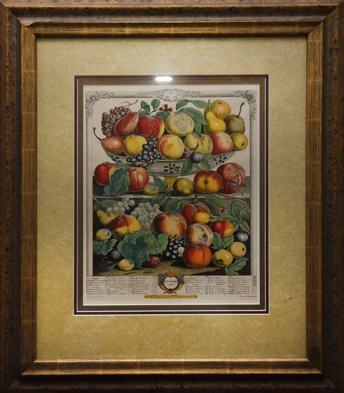 A September Harvest: Botanical Etching, circa 1732 Artwork