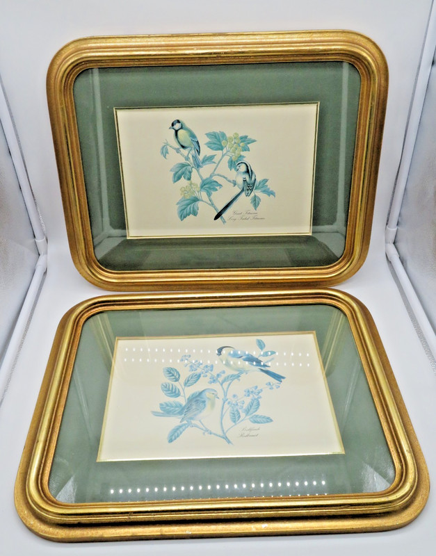 VTG Pair Framed Bird Prints Bull Finch Redbreast & Long Tailed Titmouse 16″x13″