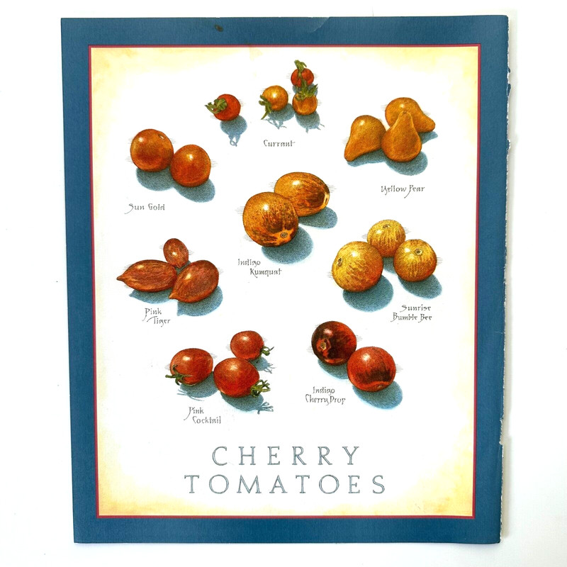 Cooks Illustrated Back Cover Only Kitchen Art John Burgoyne – Cherry Tomatoes
