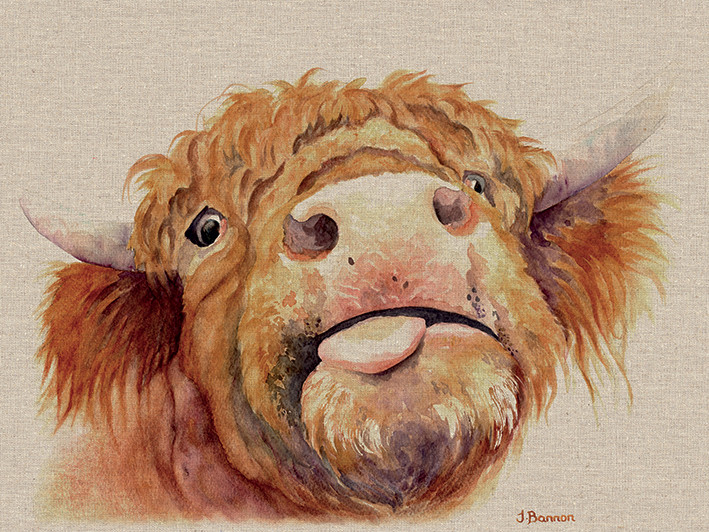 Jane Bannon – Baxter – Canvas Print Wall Art 3 sizes available – Highland Cow