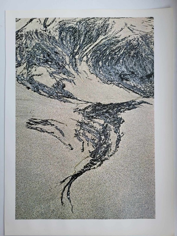 Antique Vintage Colour Print 1971 Earth and Ocean, Sand and Seaweed