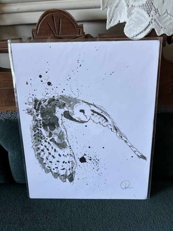 Barn Owl In Flight Patrick Hobbie Art 8×10 Watercolor Pen Print