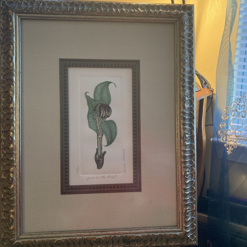 Bailey Tidwell «Jack & The Pulpit” Framed + Matted Signed Print numbered 64/100