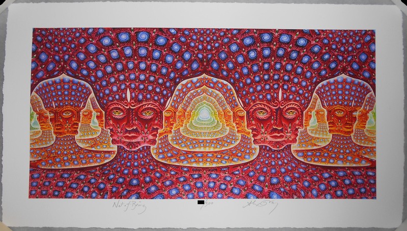 Alex Grey Net Of Being Archival Print Signed #/300 TOOL 10,000 Days COA Poster