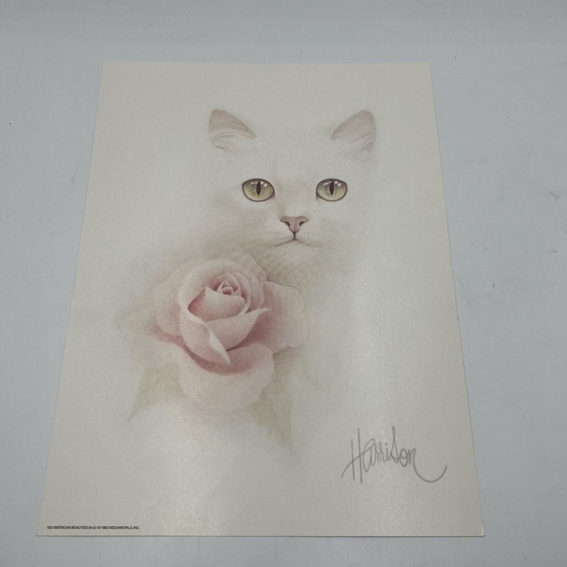 Bob Harrison Lithograph White Cat Prints (7) with Flowers 9x12 Vintage 1984 1982 gallery