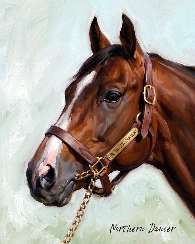 Horse Racing «Northern Dancer» oil style art print. Free Shipping 0556