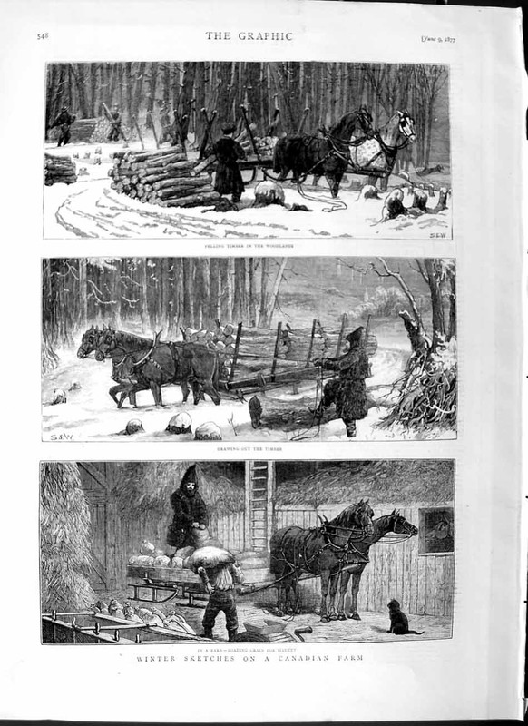 Original Old Antique Print 1877 Canada Farm Woodlands Trees Timber Horses Barn