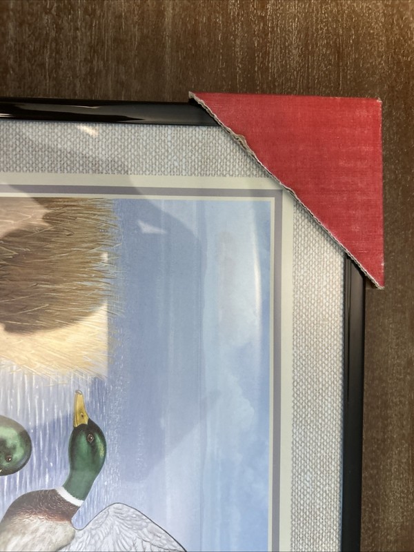 Metal Framed Mallard Duck Pond Print Cottage Core 11x14 gallery