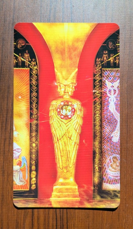 ALEX GREY Chapel Sacred Mirrors World Handbill Art Print Psychedelic Poster Tool