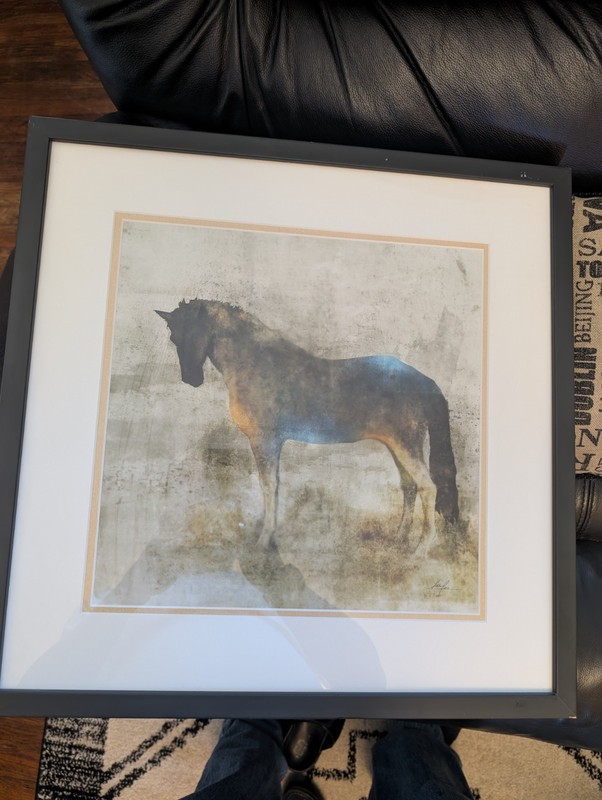 Framed Equine Print 16″X16″