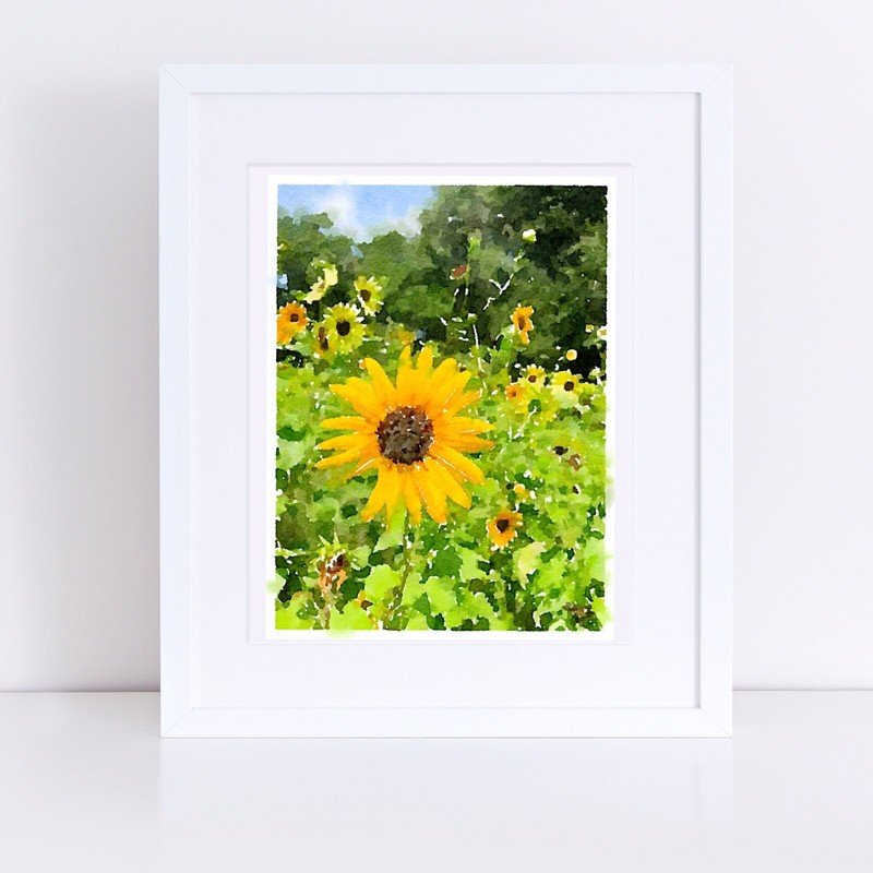 ACEO ATC Art Card Watercolor Print Signed Floral Sunflowers Flower Garden gallery