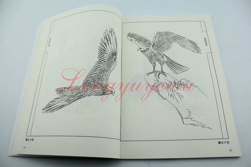 Chinese Ink Painting Hawk Eagle Red-Crowned Cran Outline Sketch Tattoo Book gallery
