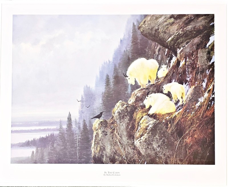 In The Cliffs Mountain Goat Print Michael Coleman Signed & Numbered 25″ x 31″