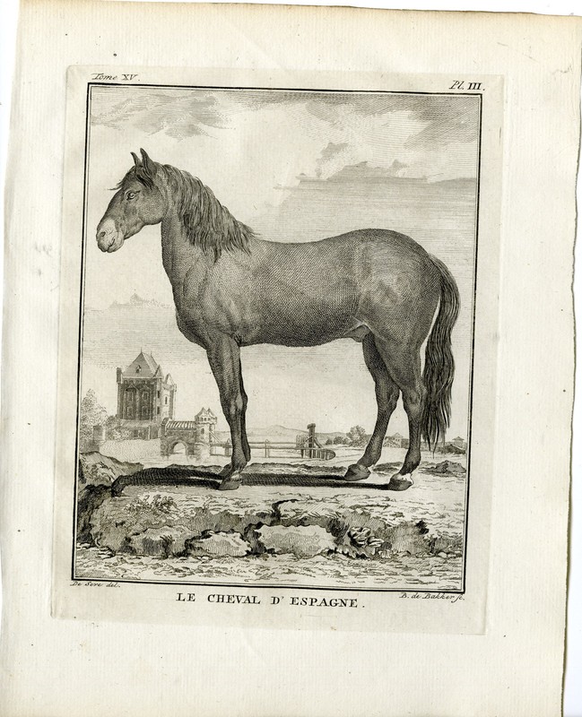 Antique Print-SPANISH HORSE BREED-PL. 3-de Bakker-Buffon-1784