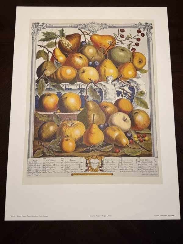 12 Months Of Fruits - JANUARY- Robert Furber 16 X 21 Unframed - Penn Prints 1970 gallery
