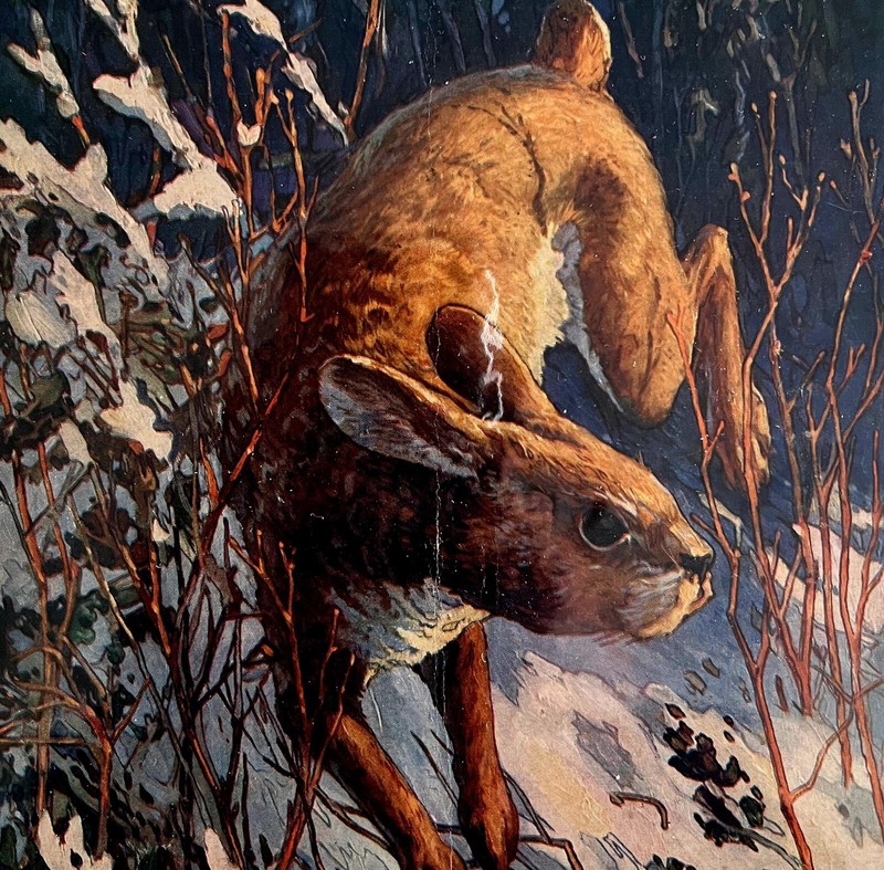 Hunting And Fishing Lithograph 1930 Cover Art Brer Rabbit Nature DWCC8
