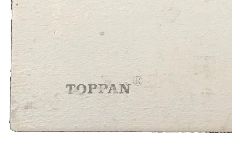 Vintage 3D Eagle Plastic Topan Print 26 cm x 33.5 cm Made in Japan gallery