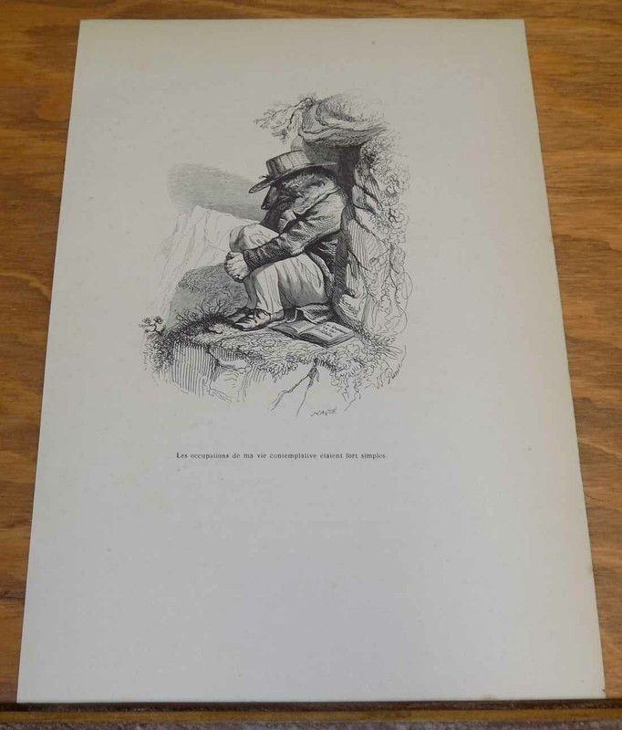 c1840 Print/Comical Animals in Human Situations/CONTEMPLATING THE SIMPLE LIFE