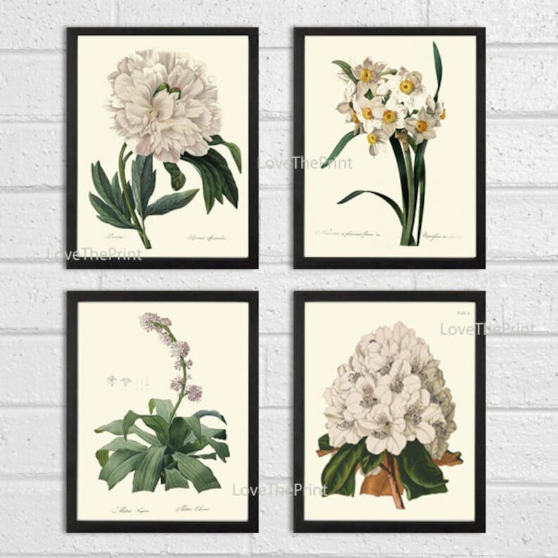 Prints Wall Art Set of 4 Beautiful Antique Vintage White Peony Unframed