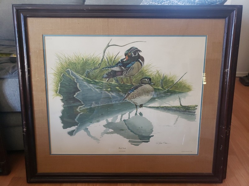 Wood Duck nature artist Richard Sloan signed. The private collection JL Wade