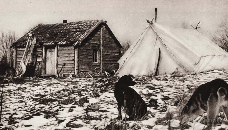1925 Vintage Print CANADA ~ Cabin Pioneer Saskatchewan Snow Dogs Tent Photo Art