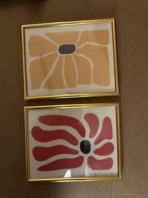 Framed 8 X 10 Colorful Modern Floral Duo Print NEW shipping included