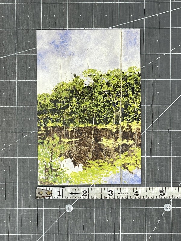 Ellen Halloran Art Show Announcement Card 2008 - Peru Amazon Paintings gallery
