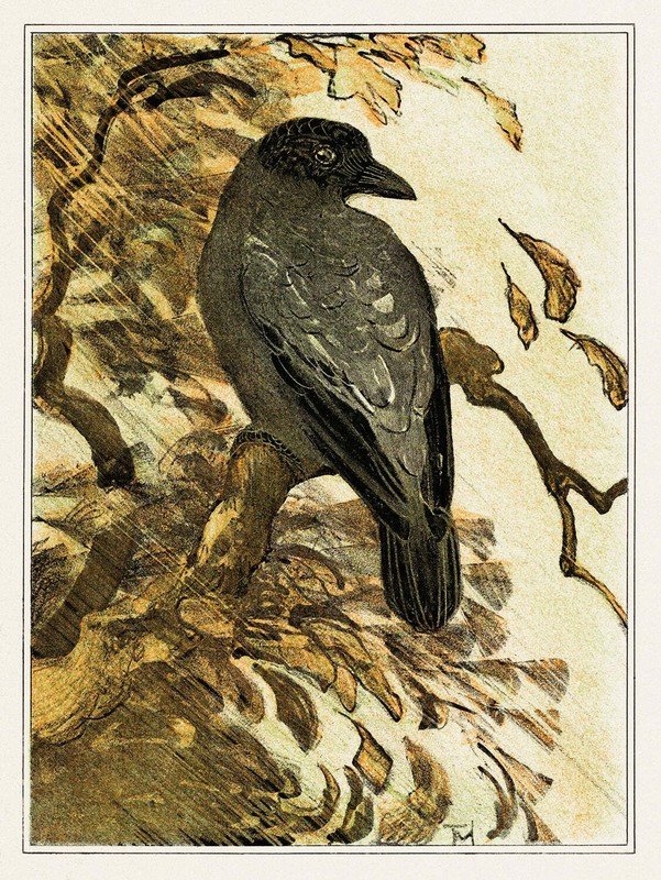Bonte kraai op tak by Theo van Hoytema Art Print