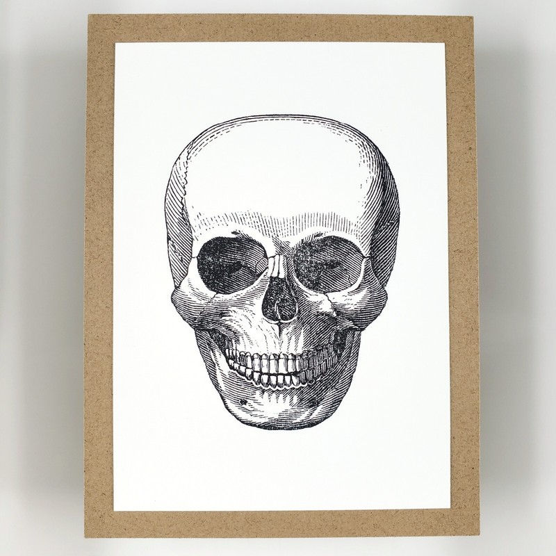 Skeleton Head Halloween Skull Engraving Giclee Art Print on Cotton Rag & Wood