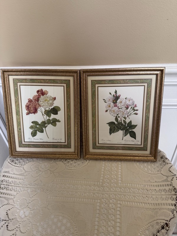 Vintage PJ Redoute Rosa Noisettiana 50s Gold Frame Art Decor Print Floral Flower