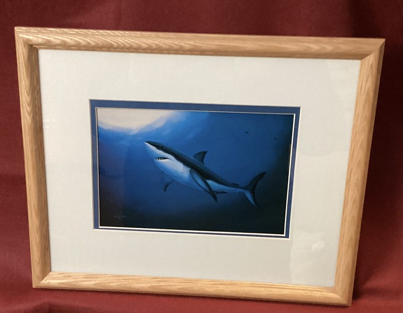 Wyland 1992 GREAT WHITE SHARK RISING TO THE SURFACE Print 13×16 Matted & Framed