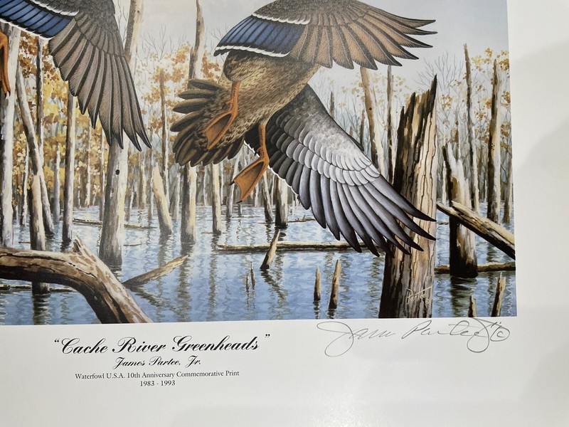 JAMES PARTEE JR. WATERFOWL ART, CACHE RIVER GREENHEADS 12x15 L/E S/N LITHOGRAPH gallery