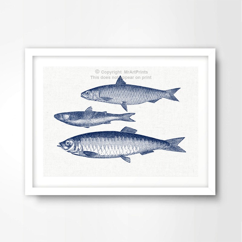 THREE FISHES ILLUSTRATION SEASIDE NAUTICAL ART PRINT Blue Decor Wall Picture